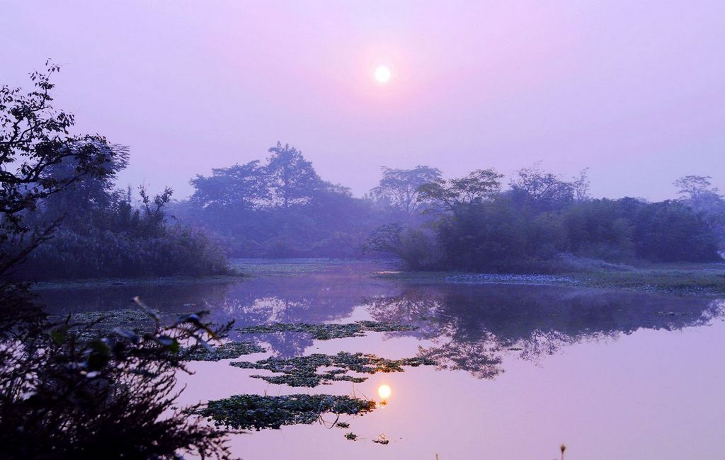 西溪湿地的早晨 摄影 变异草