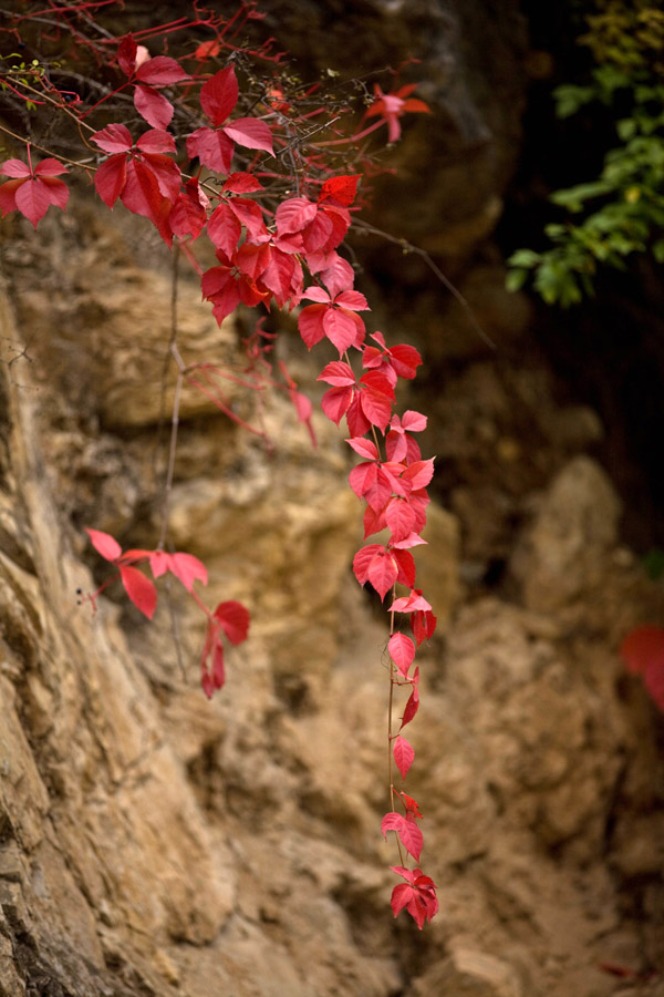 走进秋天 摄影 chunlan