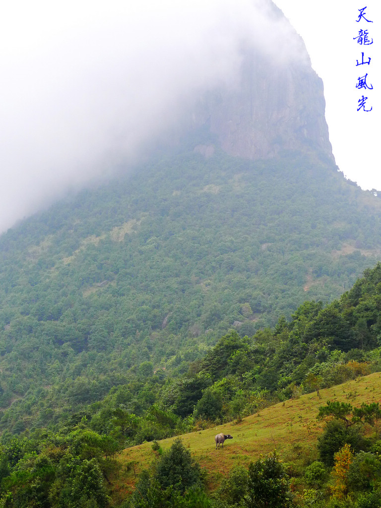 岑溪县天龙顶风光(3) 摄影 摄林浪子