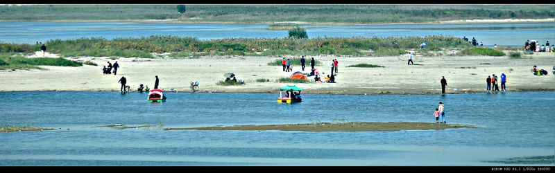 滹沱河湿地 摄影 白鹿泉边