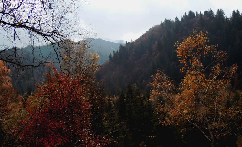 祁连秋山 摄影 梦雨