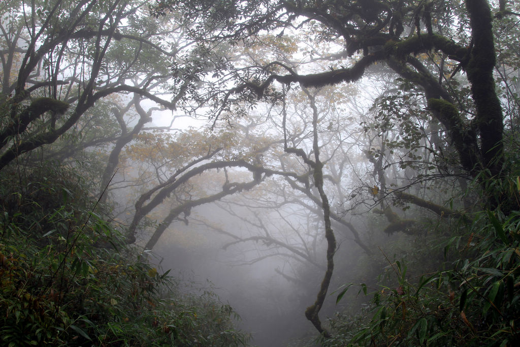 云雾雷公山 摄影 京城仙翁