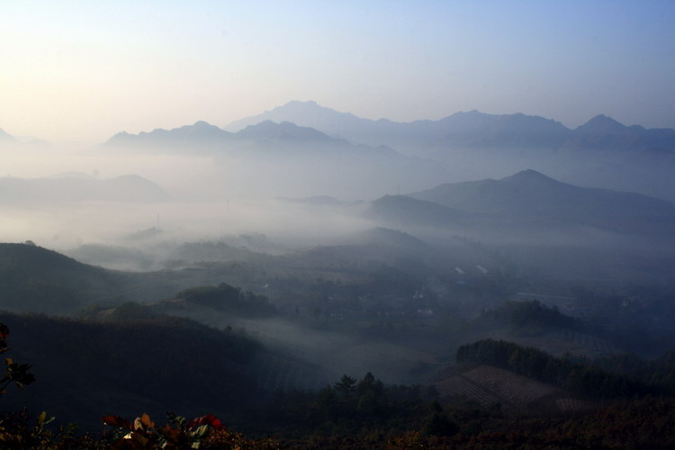 小寨雾景 摄影 只争朝夕