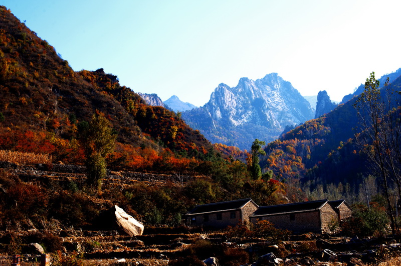 雾灵山秋色 摄影 qinhang