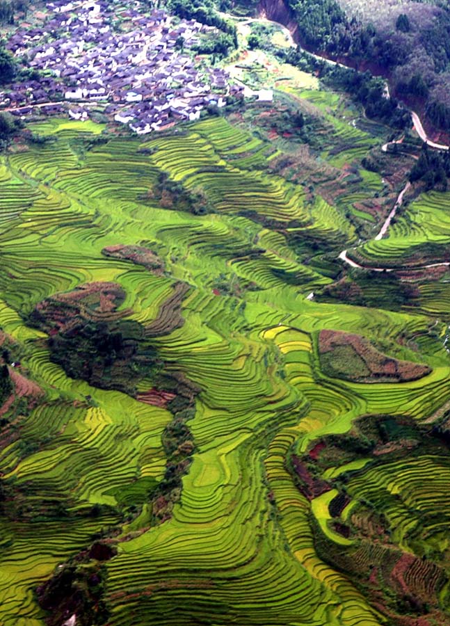 锦绣大地 摄影 gokode