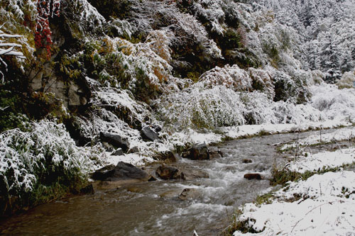 兴隆山初雪 摄影 野马子