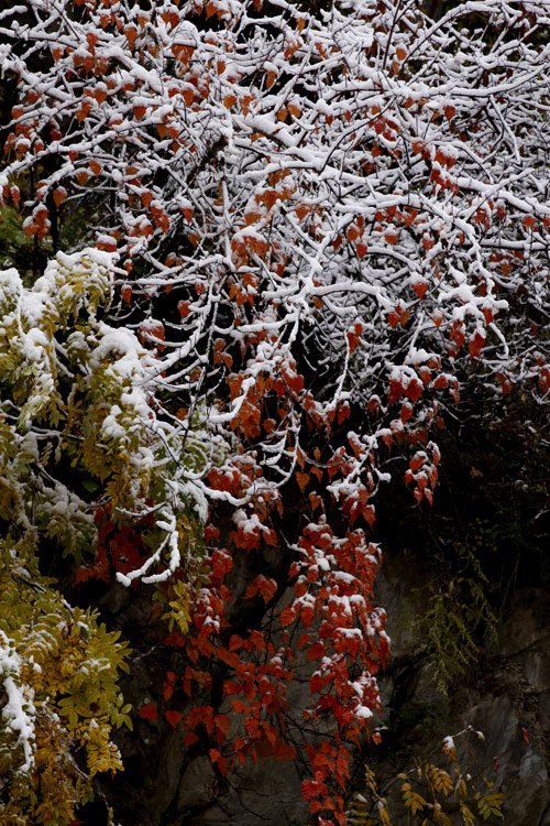 兴隆山雪景 摄影 野马子