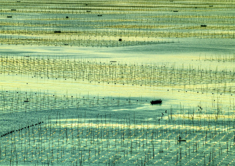 海上良田，流光异彩 摄影 艺韵