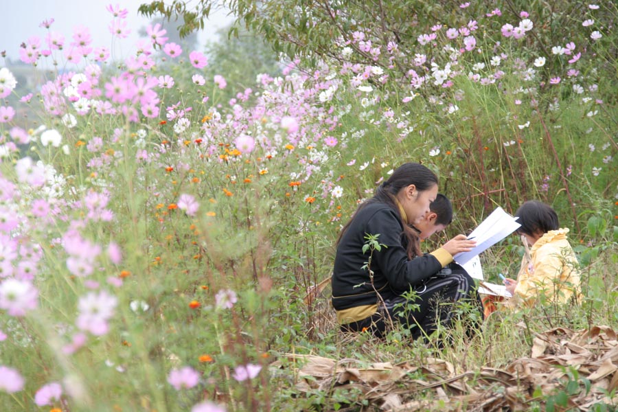 山花烂漫时 摄影 墨山侬人