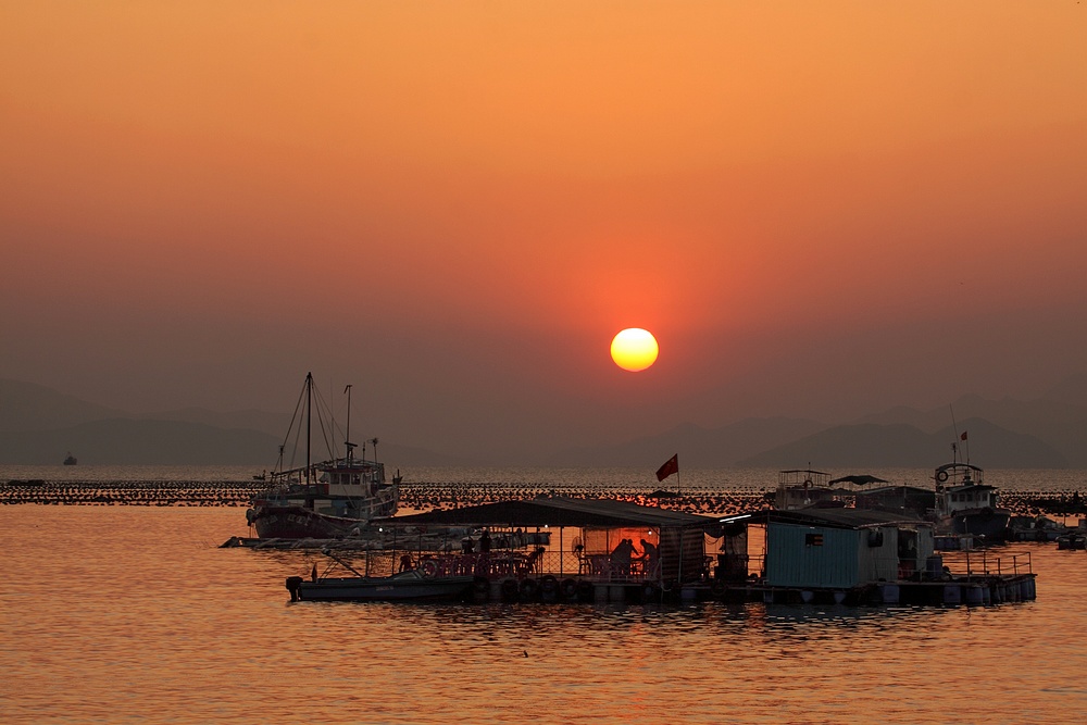 夕阳红 摄影 华影