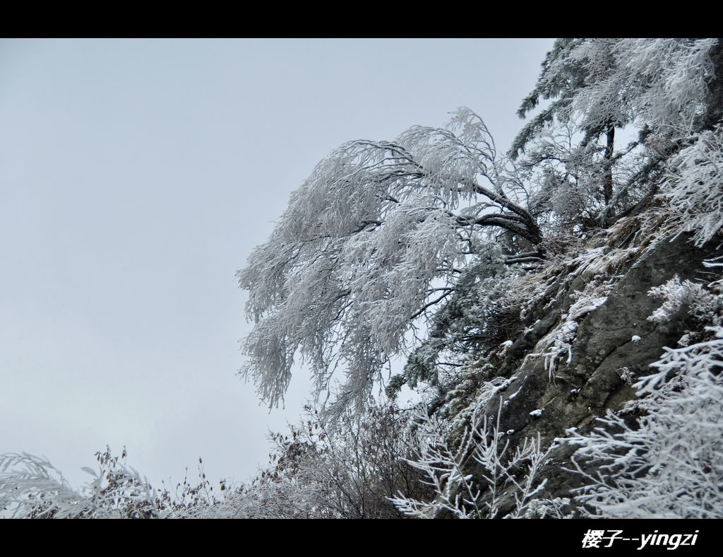 龙峪湾的第一场雪 摄影 樱子