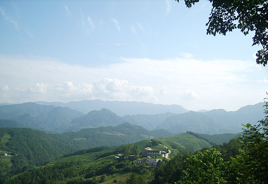 大山深处(点击放大) 摄影 云海松涛