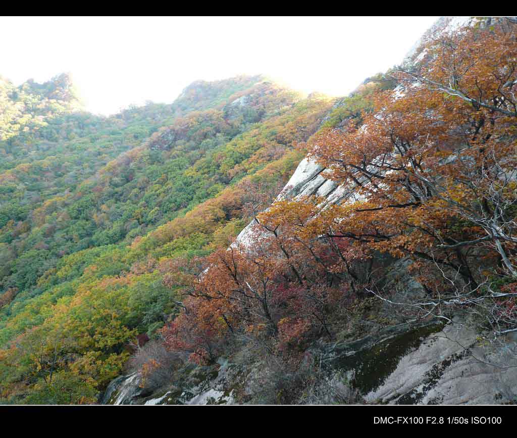 丹东凤凰山 摄影 ssw