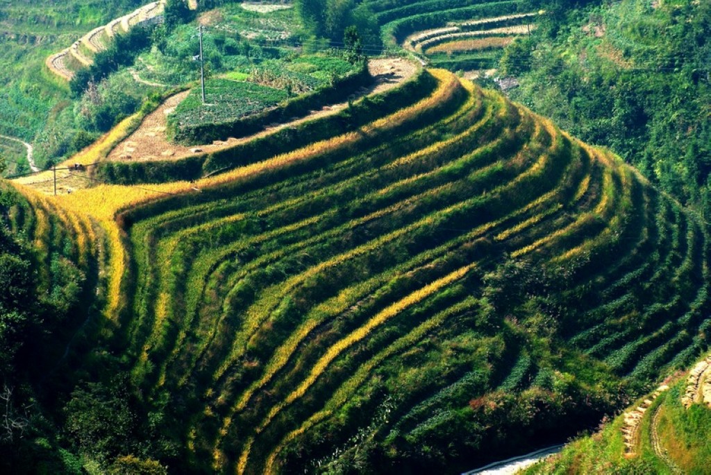 龙脊风光(7)(点击放大) 摄影 侗家山妹