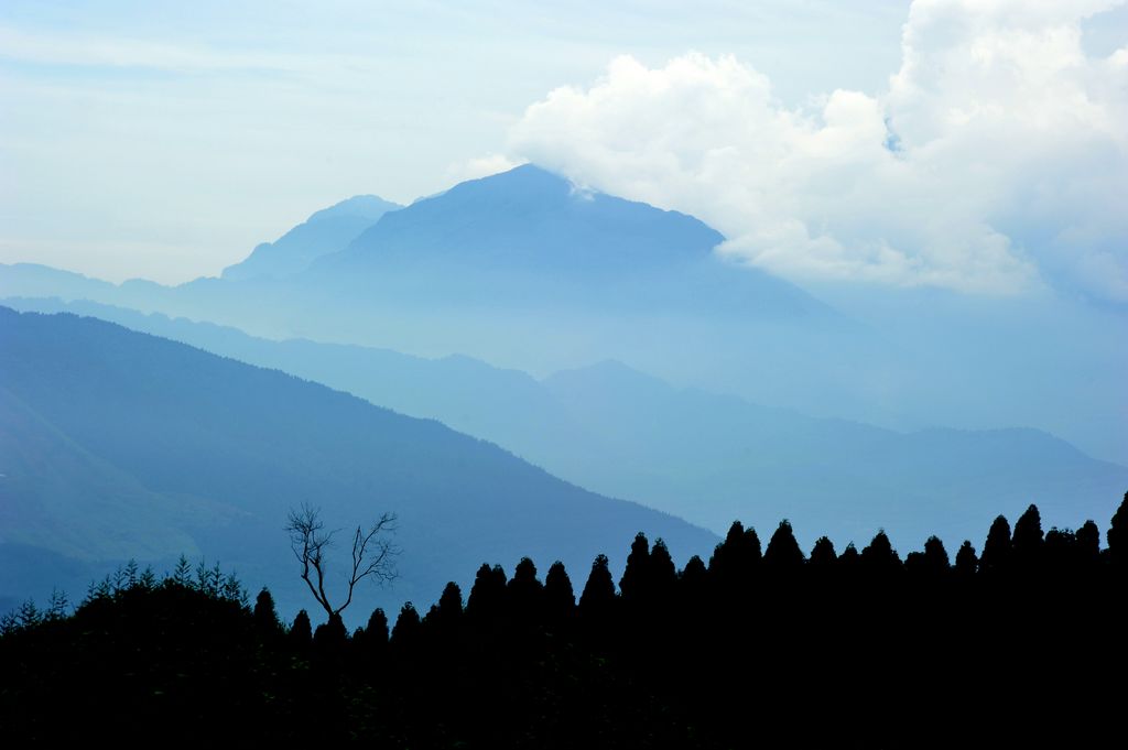 日暮苍山远 摄影 心象旷野的鸟