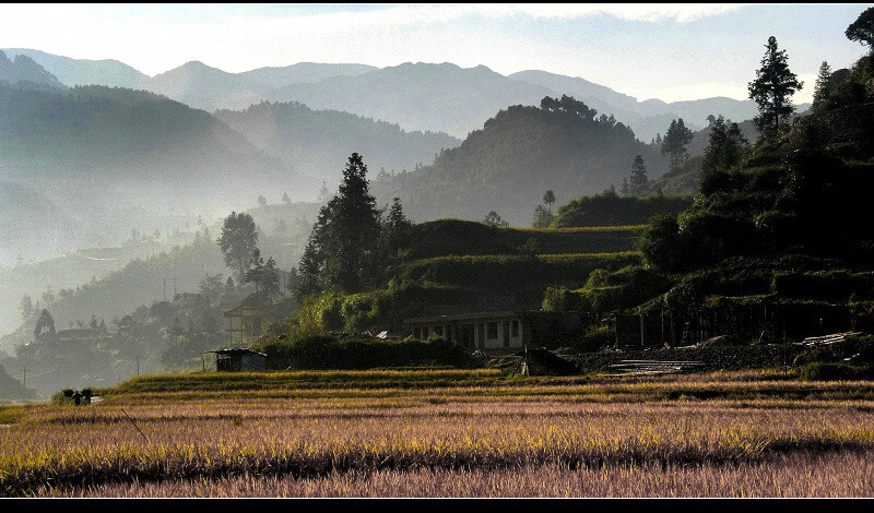 丰收在望 摄影 九里堤