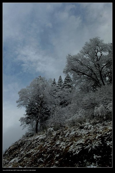 雪景 摄影 棠城摄友