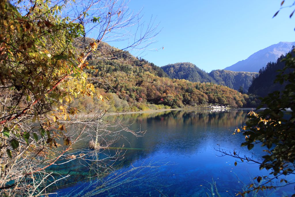 九寨沟秋天 摄影 布衣老汉