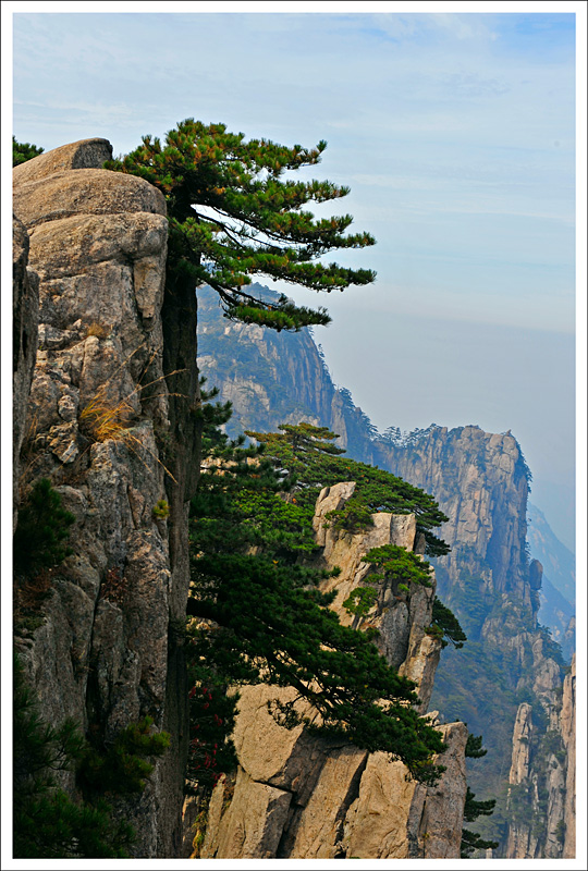 游黄山纪念（2） 摄影 小藏驹