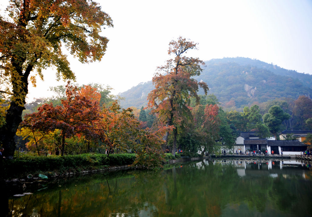 天平红枫 摄影 近山远水