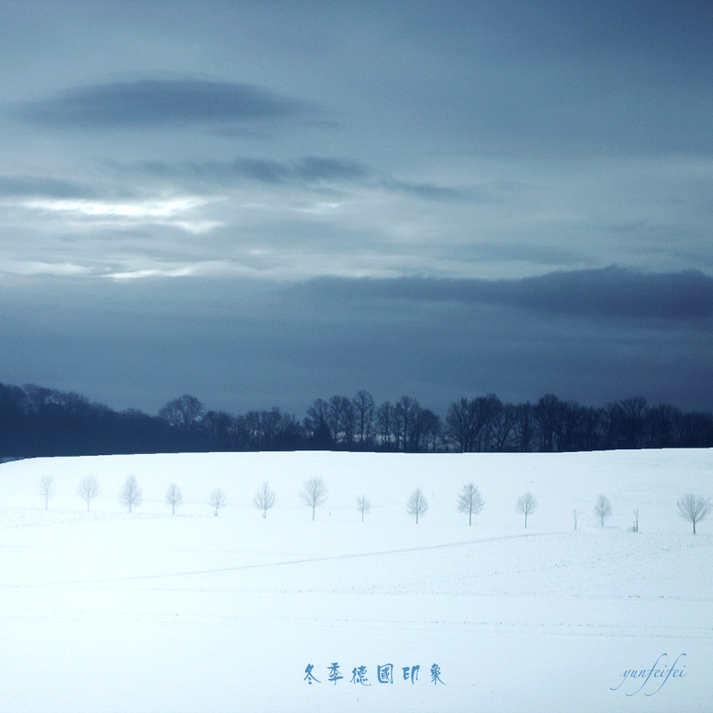 冬日德国印象（2） 摄影 _yunfeifei_