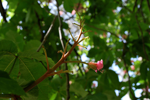 It's spring（in serie） 摄影 就一点点