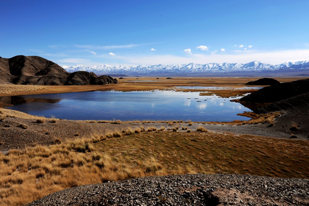 高原湿地----肃北盐池湾 摄影 空穴来风