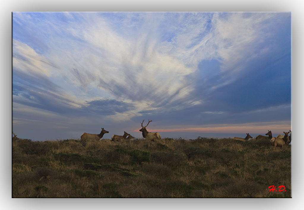 Point Reyes 摄影 hettet