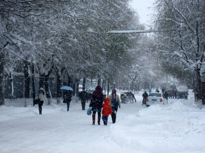 2010家乡第二场雪(暴雪） 摄影 彦彤