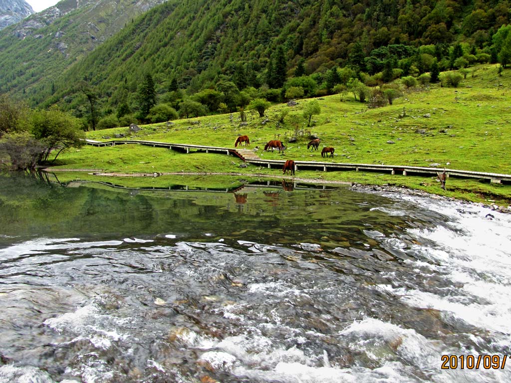 流水饮马图 摄影 风声雁影