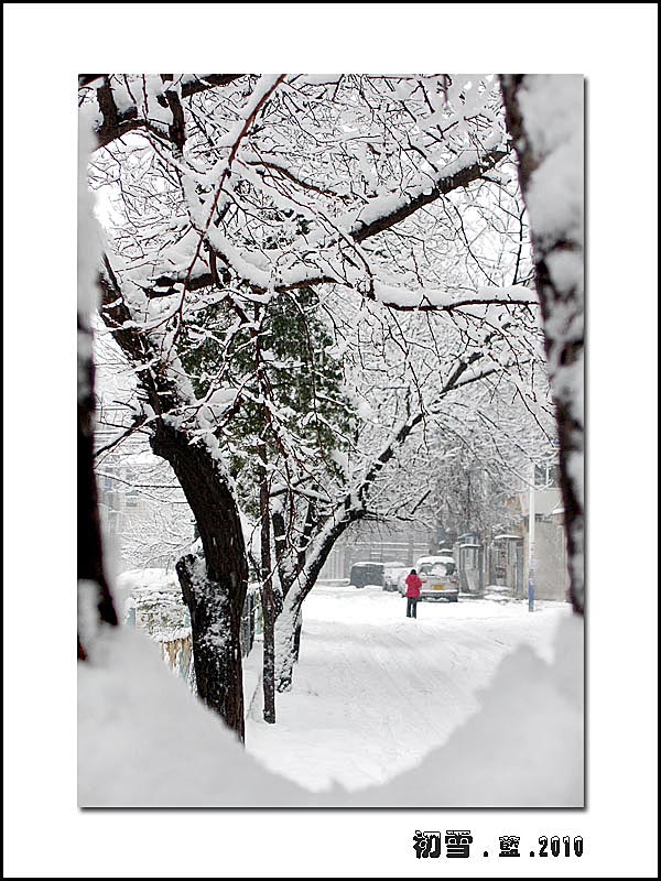 初雪.2010.（1） 摄影 指间.蓝