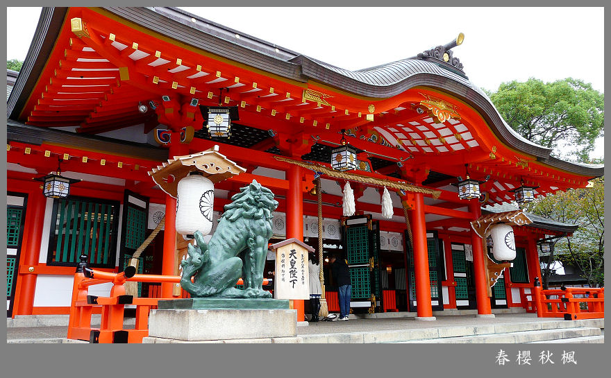 生田神社 摄影 春樱秋枫