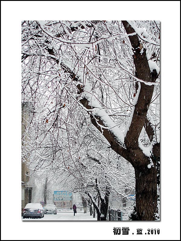 初雪.2010.（2） 摄影 指间.蓝