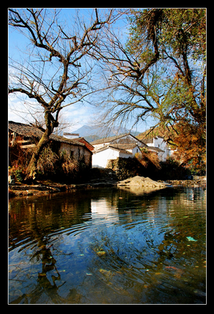 婺源冬景 摄影 杉杉