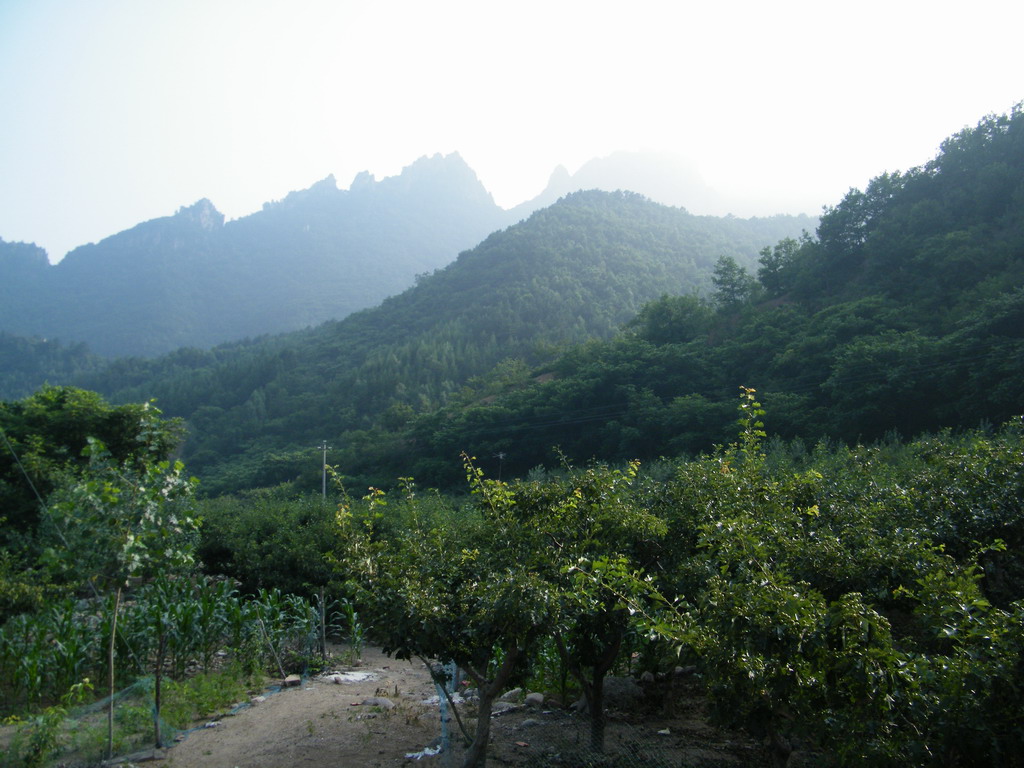 雾灵山8 摄影 刘陆陆