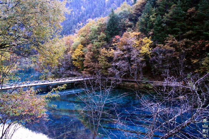 九寨沟风光——五花海秋色 摄影 黑白影子