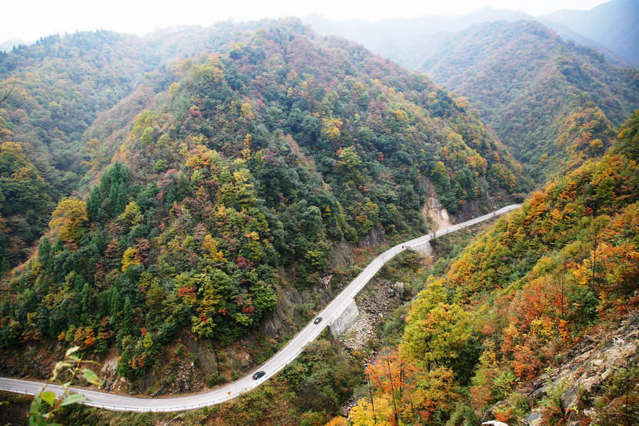 高山红叶 摄影 鼠老大