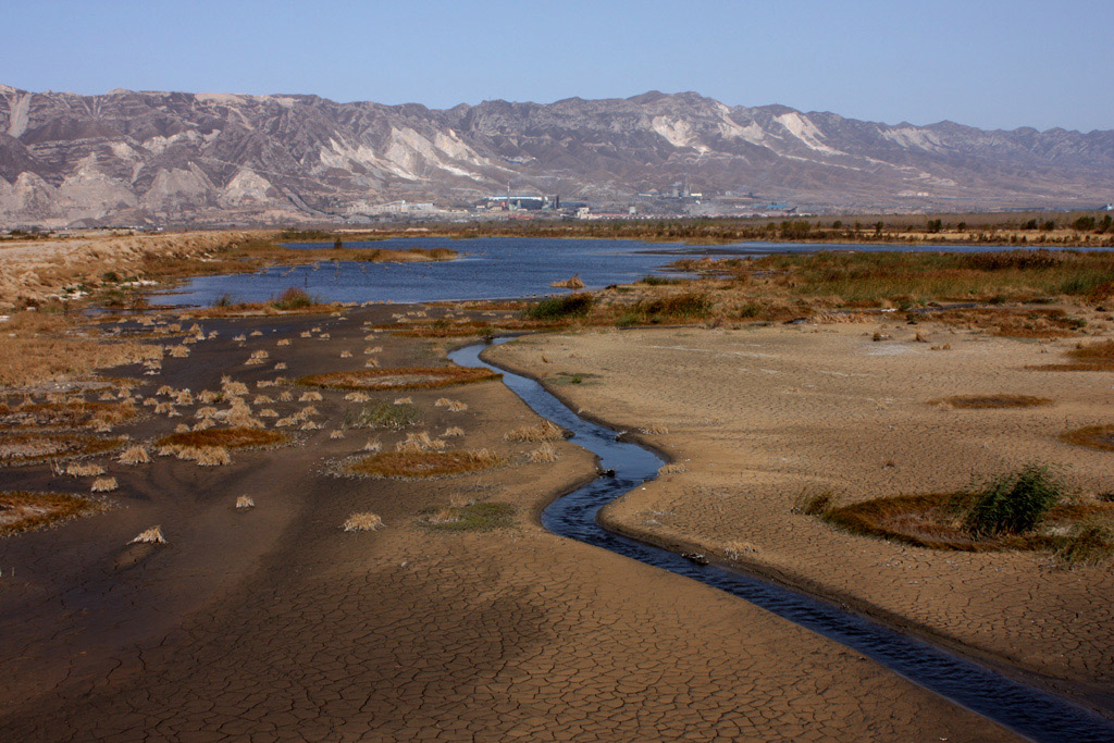 黄河清涧湾湿地 摄影 晋风