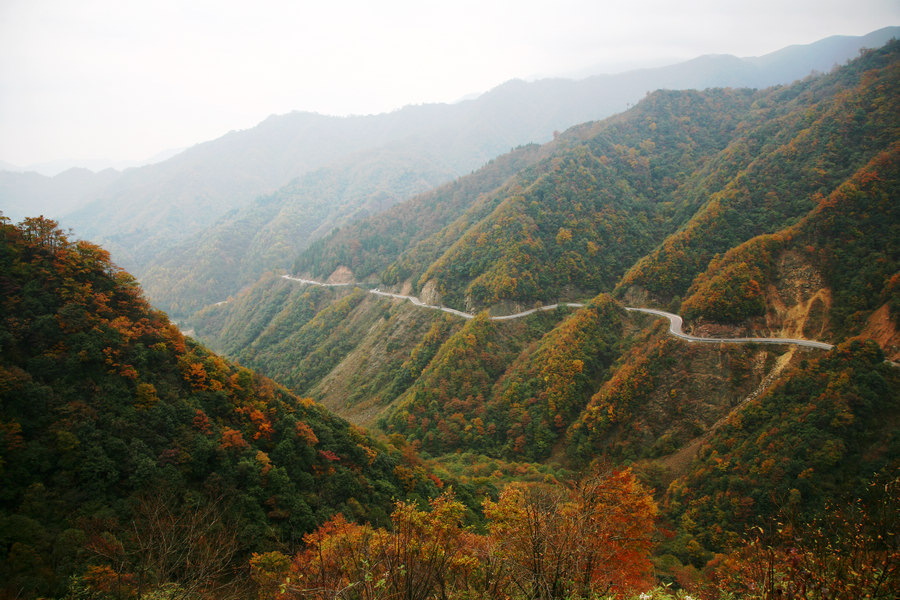 高山红叶 摄影 鼠老大