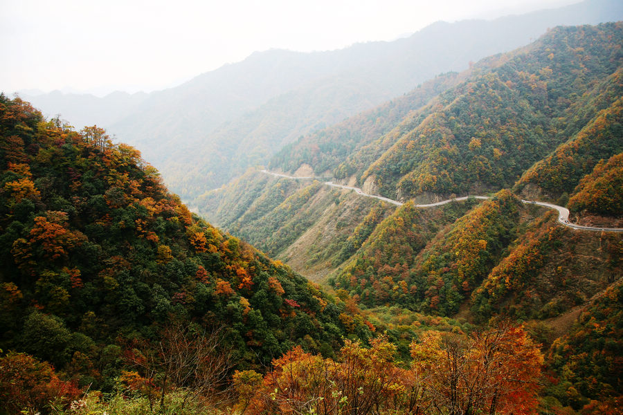 高山红叶 摄影 鼠老大