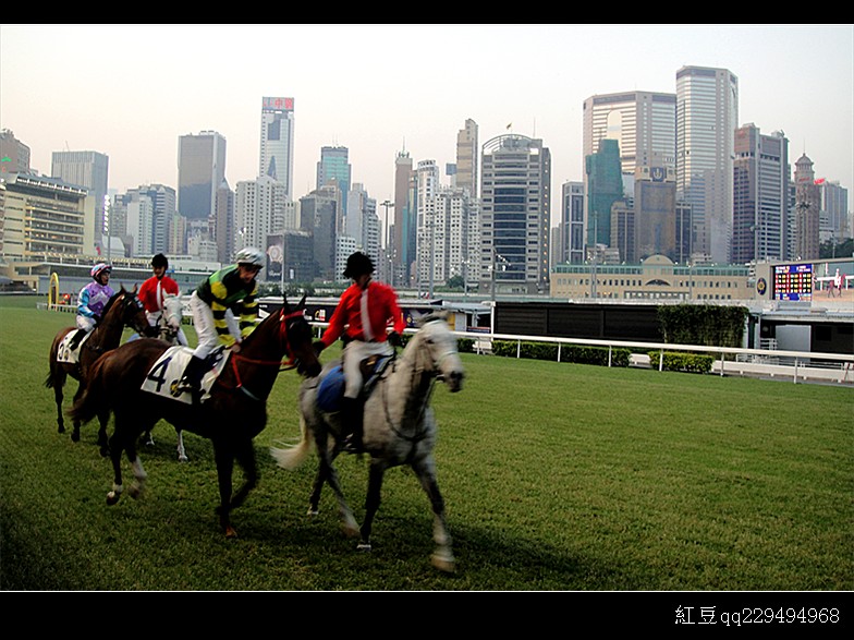 香港跑馬地馬賽 摄影 南國紅豆