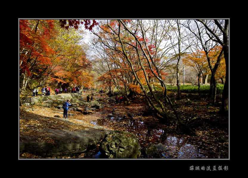 秋景 摄影 朦胧的淡蓝