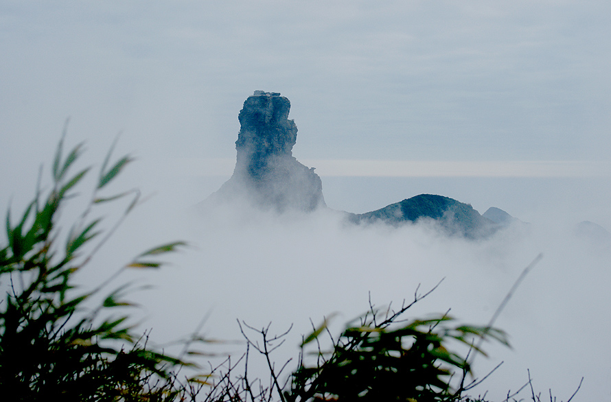 梵净山--A 摄影 生命如歌如虹