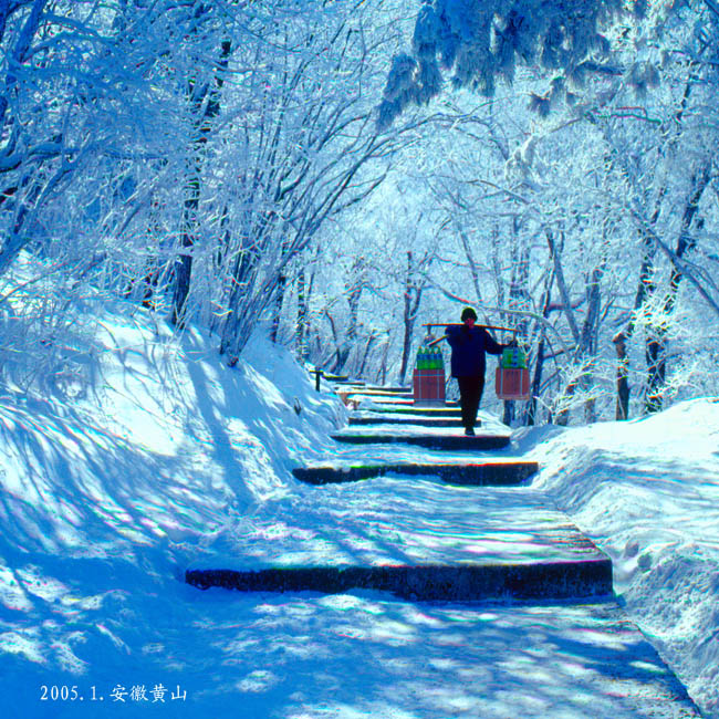 风雪无阻 摄影 剡溪闲人