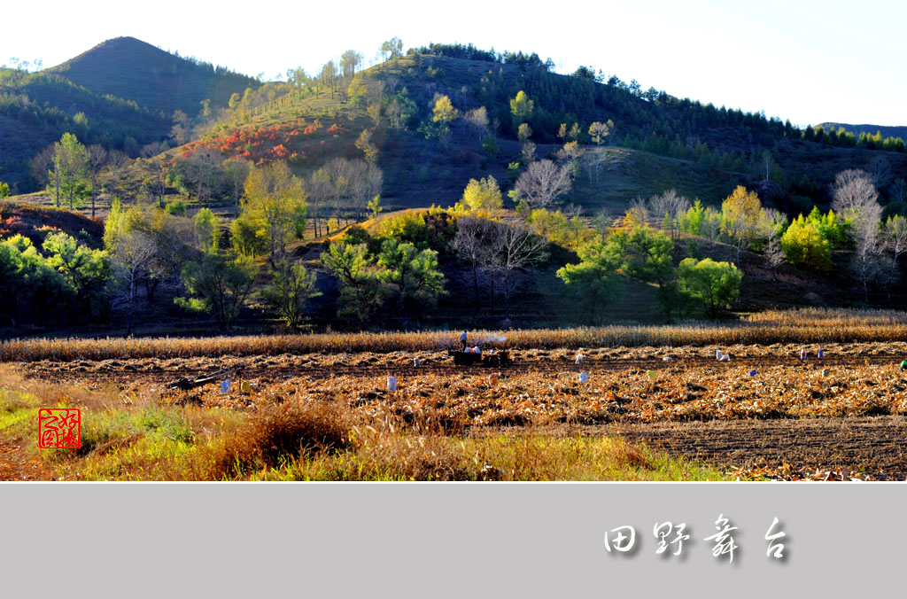 田野舞台（六） 摄影 一路有你