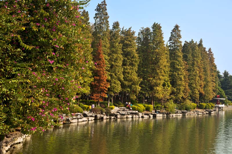 桂林湖小景 摄影 中一贝