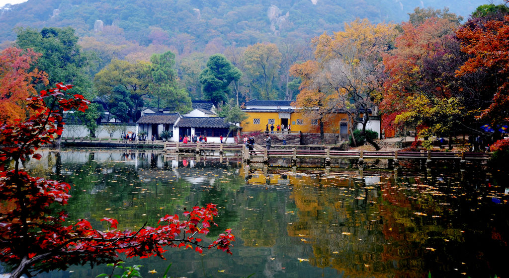 多彩的秋天 摄影 近山远水