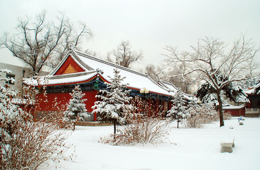 雪后的文庙 摄影 幸福时光D