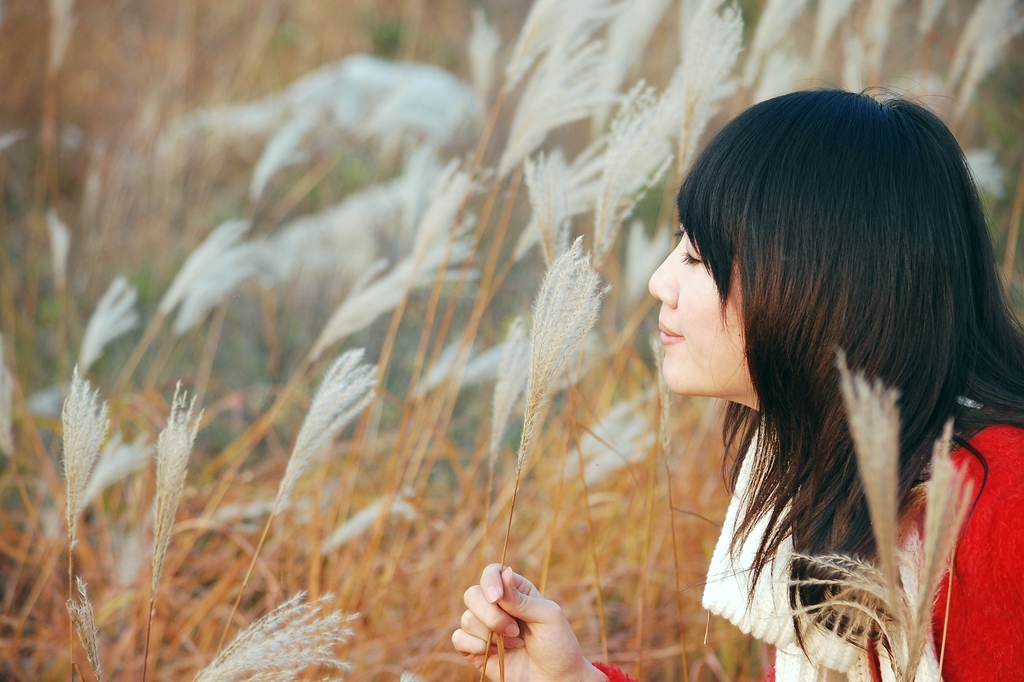 美女醉金秋 摄影 阳光灿烂中