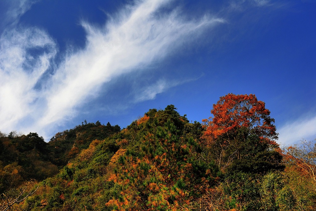 神龙川秋景<1> 摄影 西村野狼